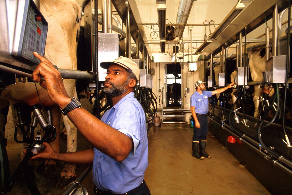 Dairy Products Manufacturing Workers