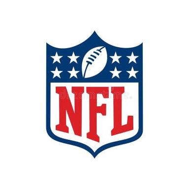 NFL Internship Program logo