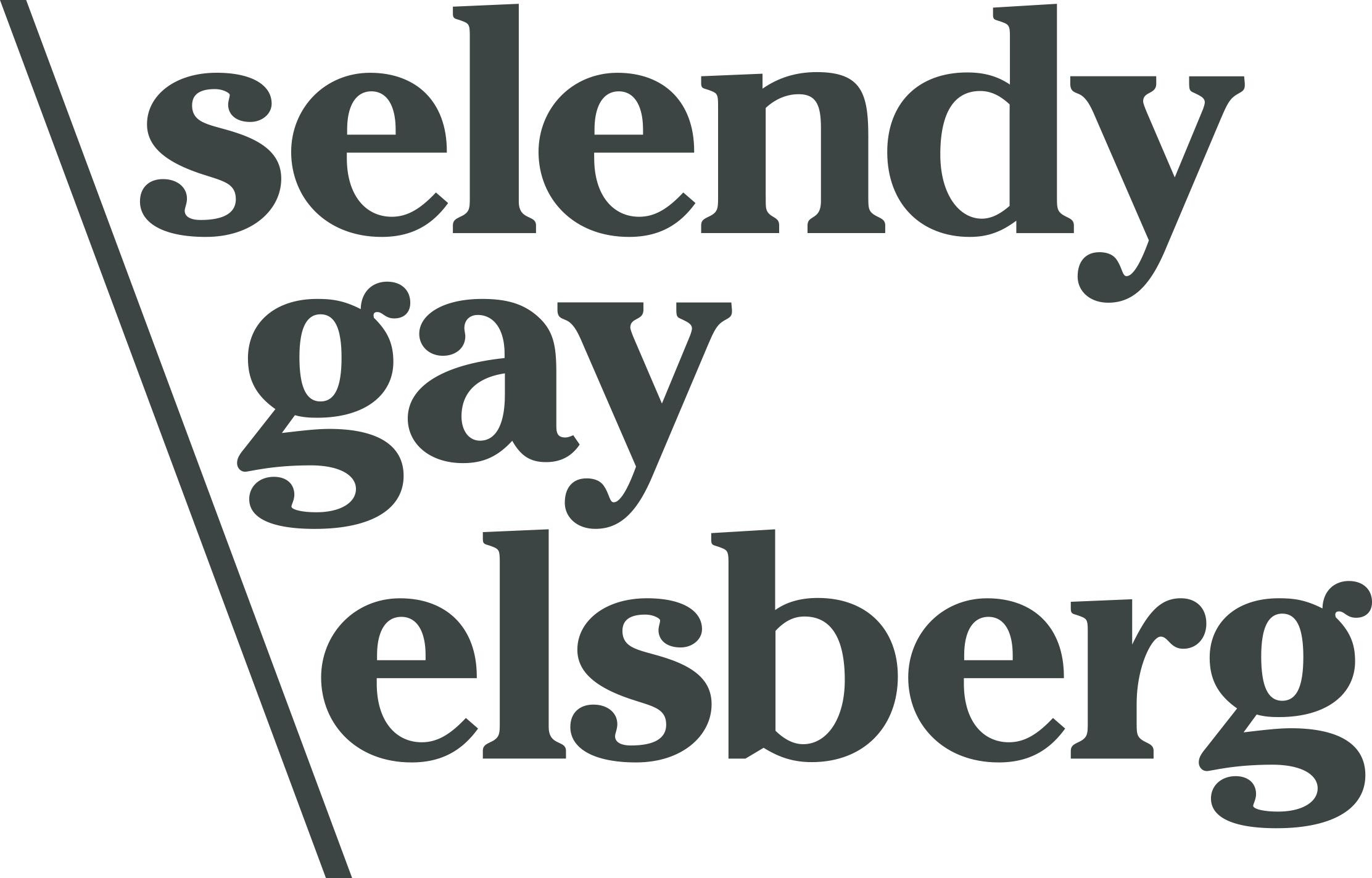 Selendy Gay Elsberg PLLC