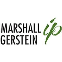 Marshall, Gerstein & Borun LLP